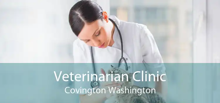 Veterinarian Clinic Covington Washington