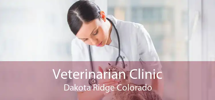 Veterinarian Clinic Dakota Ridge Colorado