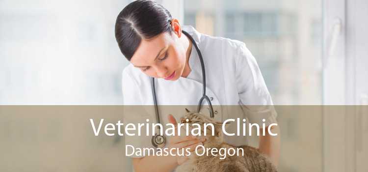 Veterinarian Clinic Damascus Oregon