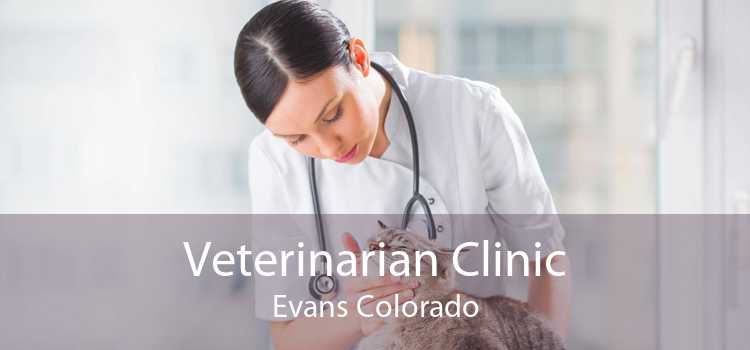 Veterinarian Clinic Evans Colorado