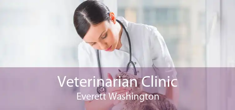 Veterinarian Clinic Everett Washington