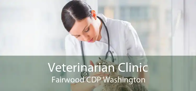 Veterinarian Clinic Fairwood CDP Washington
