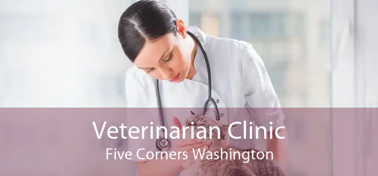 Veterinarian Clinic Five Corners Washington