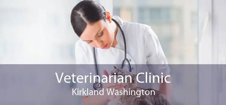 Veterinarian Clinic Kirkland Washington