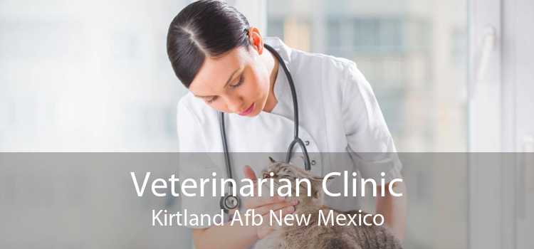 Veterinarian Clinic Kirtland Afb New Mexico