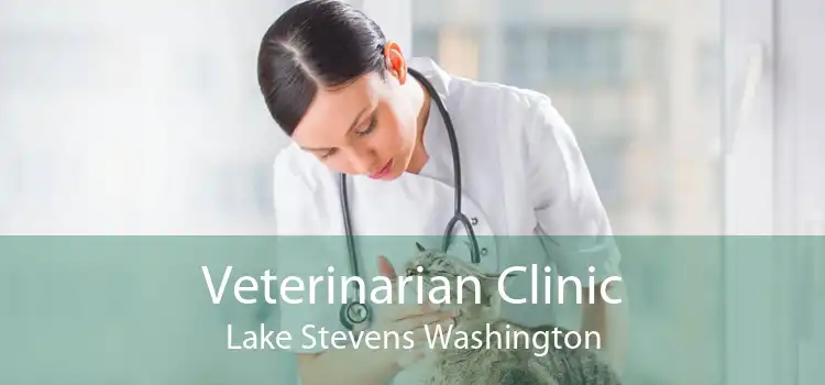 Veterinarian Clinic Lake Stevens Washington
