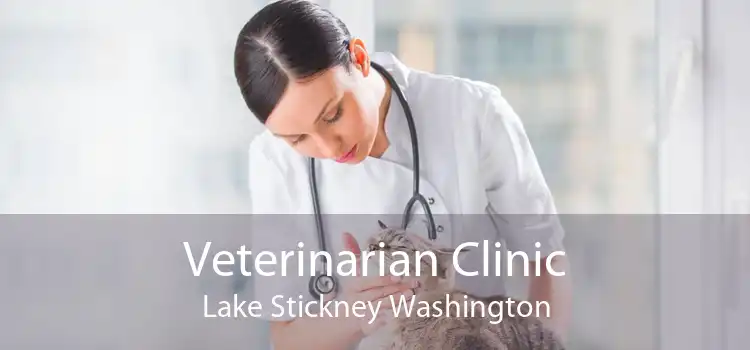 Veterinarian Clinic Lake Stickney Washington