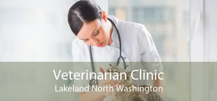 Veterinarian Clinic Lakeland North Washington