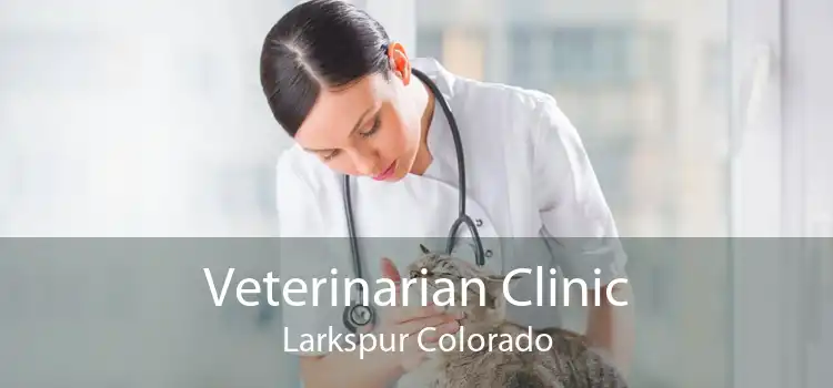 Veterinarian Clinic Larkspur Colorado