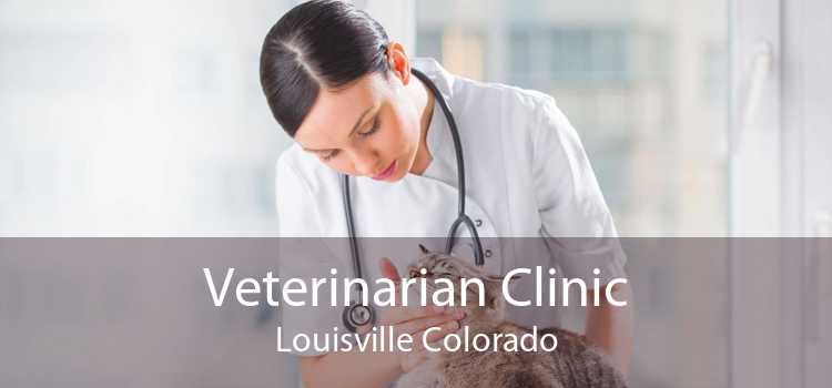 Veterinarian Clinic Louisville Colorado