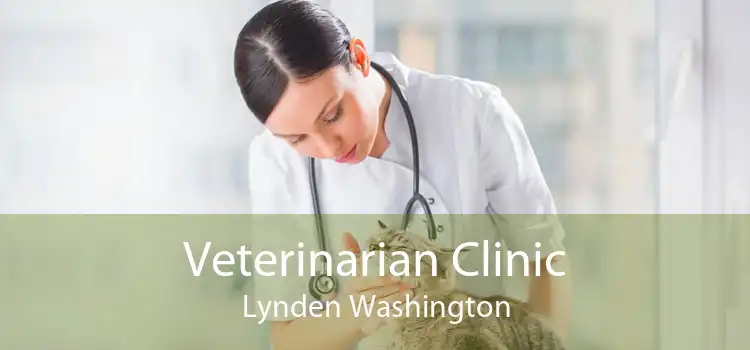 Veterinarian Clinic Lynden Washington
