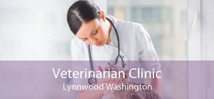 Veterinarian Clinic Lynnwood Washington