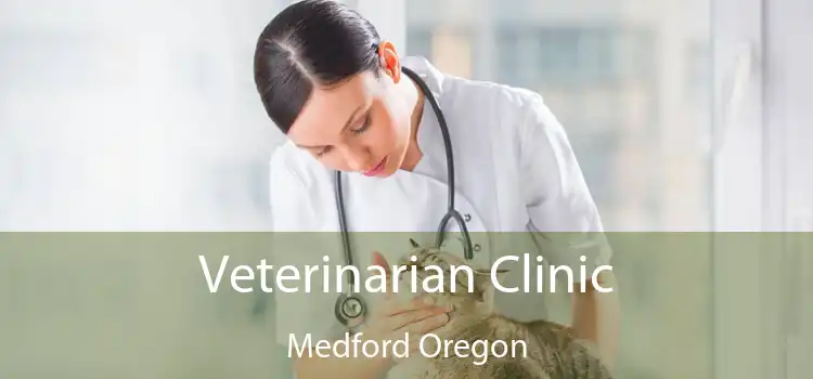 Veterinarian Clinic Medford Oregon