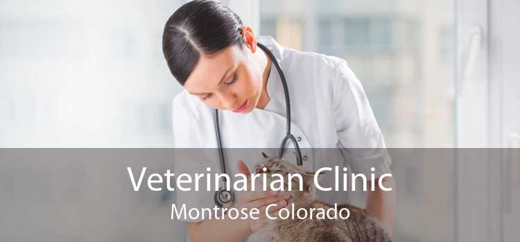 Veterinarian Clinic Montrose Colorado