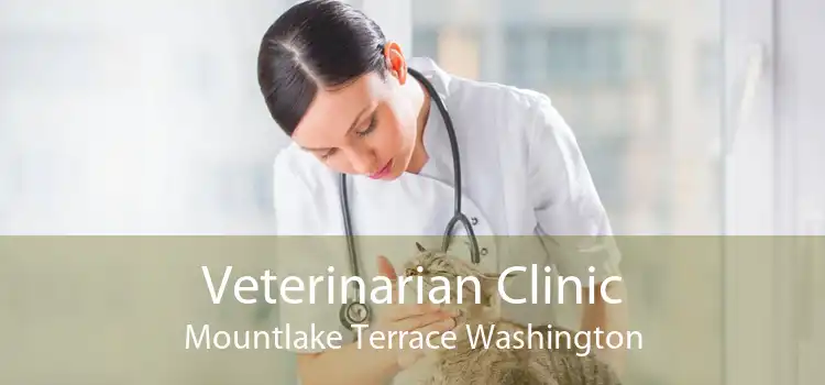 Veterinarian Clinic Mountlake Terrace Washington