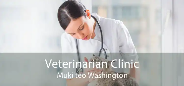 Veterinarian Clinic Mukilteo Washington