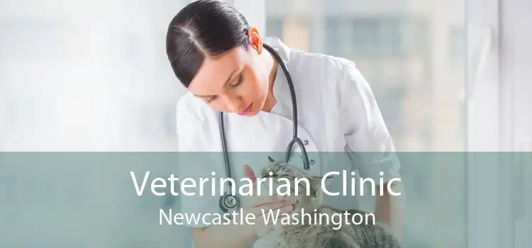 Veterinarian Clinic Newcastle Washington
