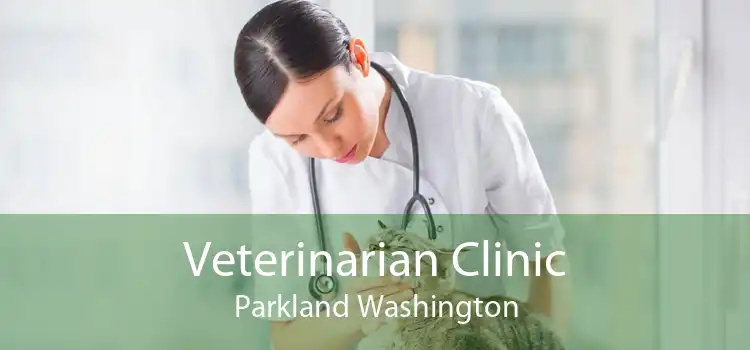 Veterinarian Clinic Parkland Washington