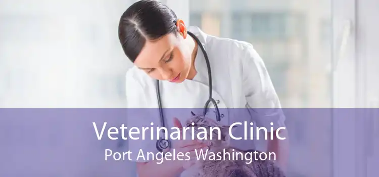 Veterinarian Clinic Port Angeles Washington