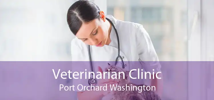 Veterinarian Clinic Port Orchard Washington