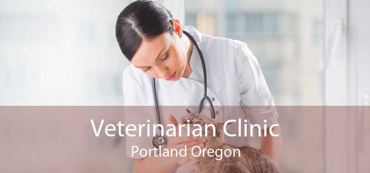 Veterinarian Clinic Portland Oregon