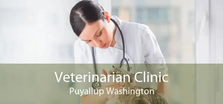 Veterinarian Clinic Puyallup Washington
