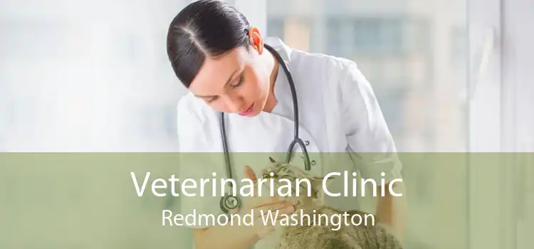 Veterinarian Clinic Redmond Washington