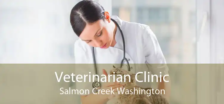 Veterinarian Clinic Salmon Creek Washington