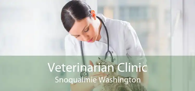 Veterinarian Clinic Snoqualmie Washington