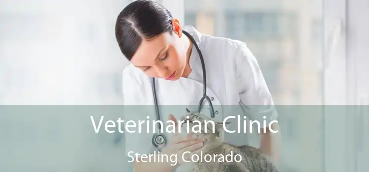 Veterinarian Clinic Sterling Colorado