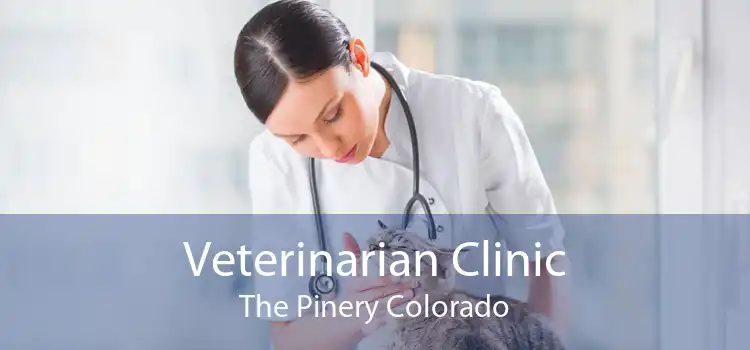 Veterinarian Clinic The Pinery Colorado