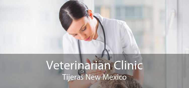 Veterinarian Clinic Tijeras New Mexico