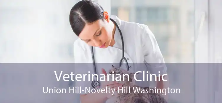 Veterinarian Clinic Union Hill-Novelty Hill Washington