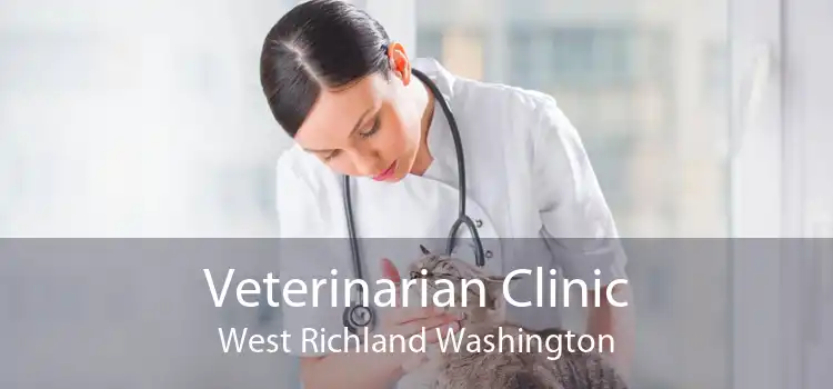 Veterinarian Clinic West Richland Washington